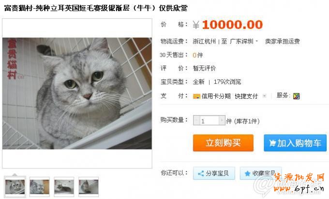 點擊查看大圖
