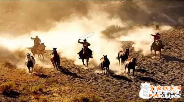 簡單說說流量運(yùn)營的主動性和爆款