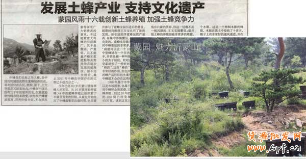 如何打造爆款
