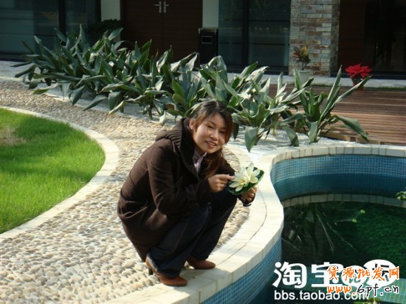 淘寶故事
