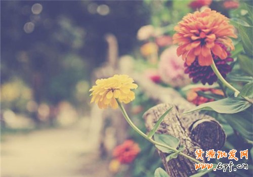 微信營(yíng)銷