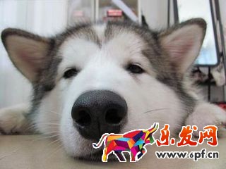 關(guān)于淘寶開店評價(jià)那些事