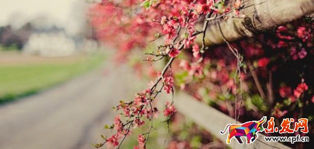 淘寶經驗分享