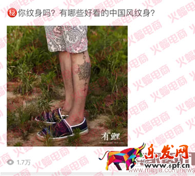 社交電商（蝙蝠）有水印3093.png