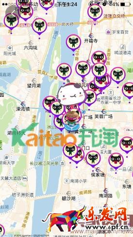 雙十一捉貓貓?jiān)趺此阉鞲浇呢?