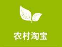 農(nóng)村淘寶運(yùn)營(yíng)怎么賺錢(qián)