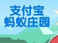 螞蟻莊園怎么防止搶食？支付寶螞蟻莊園怎么養小雞？