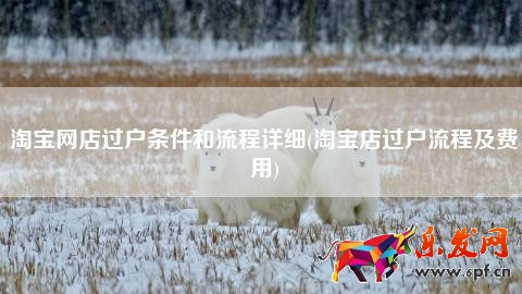 淘寶網(wǎng)店過戶條件和流程詳細(xì)(淘寶店過戶流程及費(fèi)用)