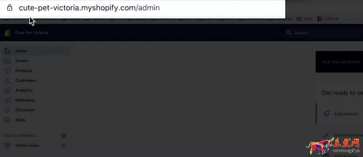 shopify如何開店手續費多少（shopify入駐條件及費用）