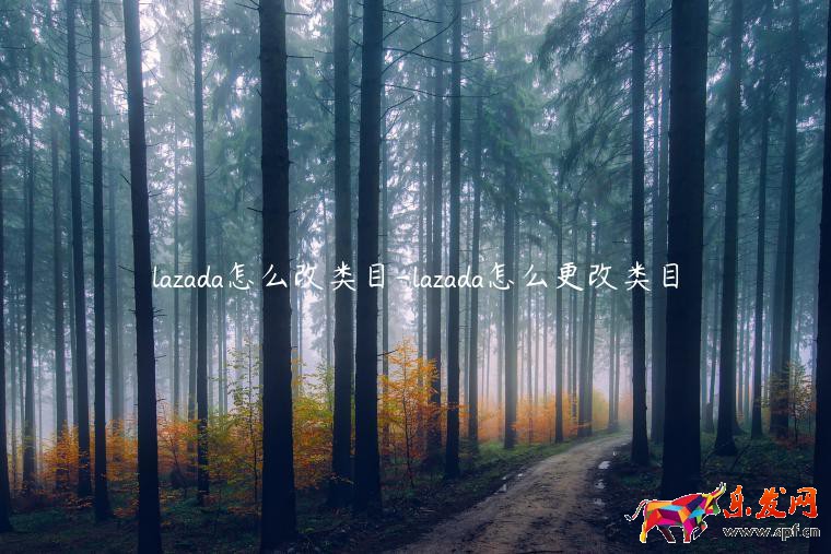lazada怎么改類(lèi)目-lazada怎么更改類(lèi)目