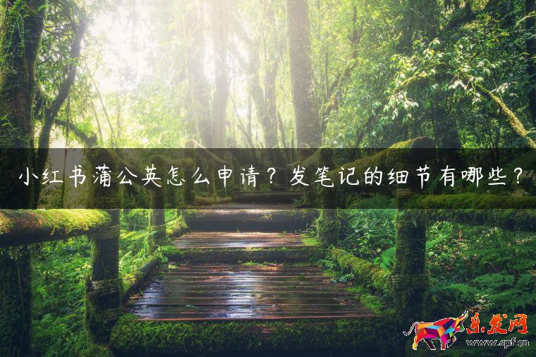 小紅書蒲公英怎么申請？發筆記的細節有哪些？